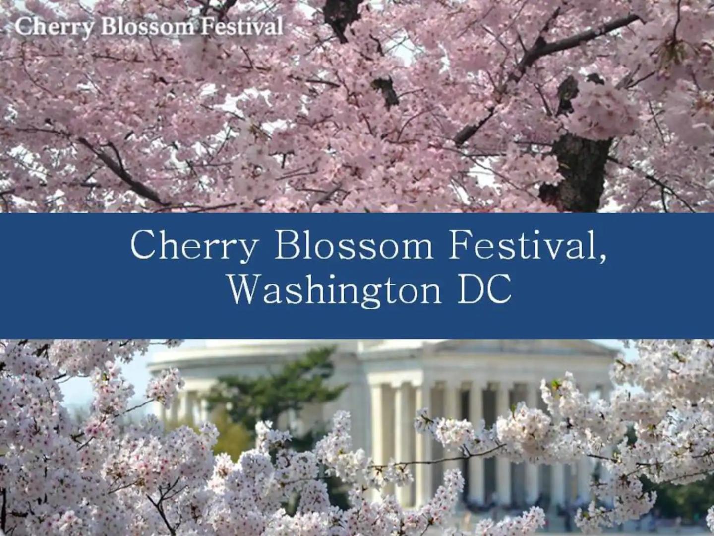 Dc'S Best Address -10Min To White Hse - 500 Mbps Washington Bagian luar foto